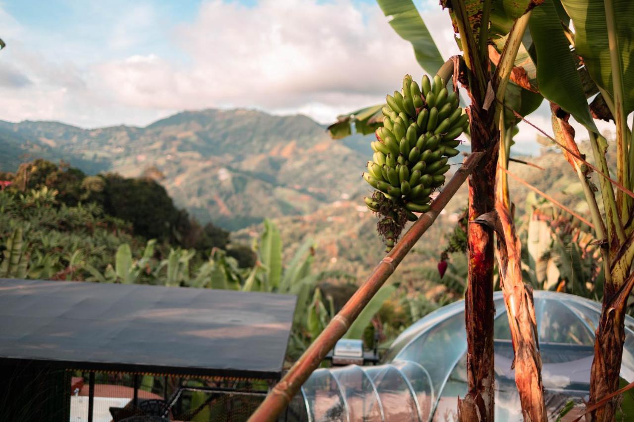 Chami Glamping Villa Manizales Luaran gambar