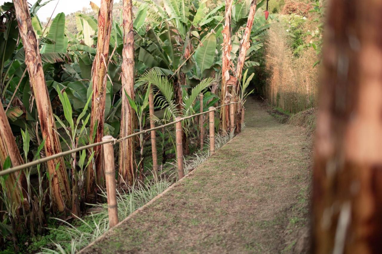 Chami Glamping Villa Manizales Luaran gambar