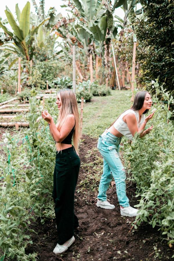 Chami Glamping Villa Manizales Luaran gambar