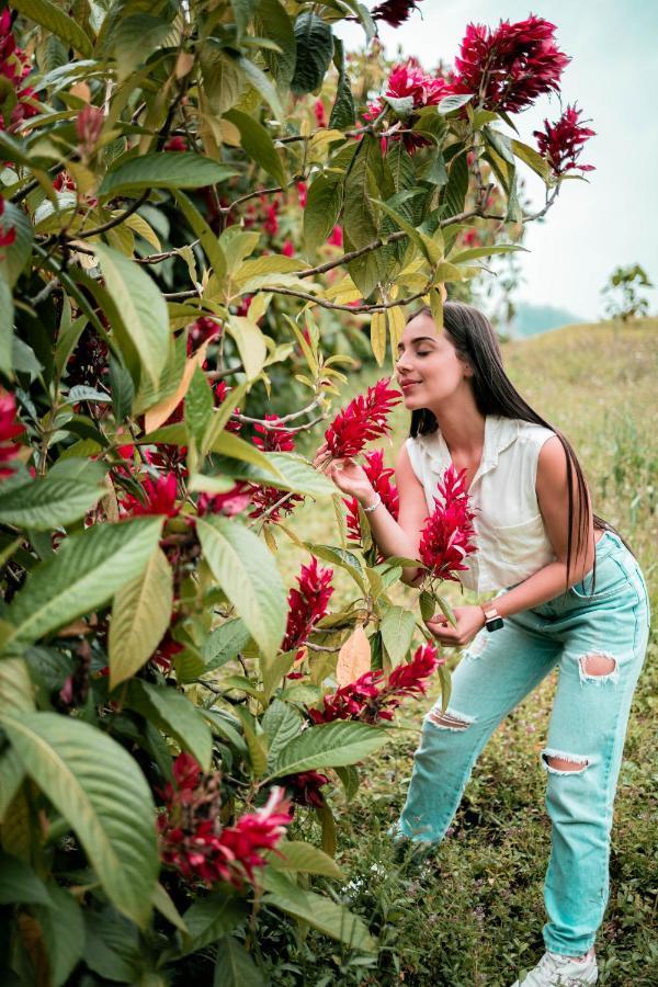 Chami Glamping Villa Manizales Luaran gambar