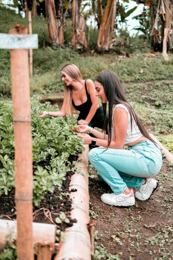 Chami Glamping Villa Manizales Luaran gambar