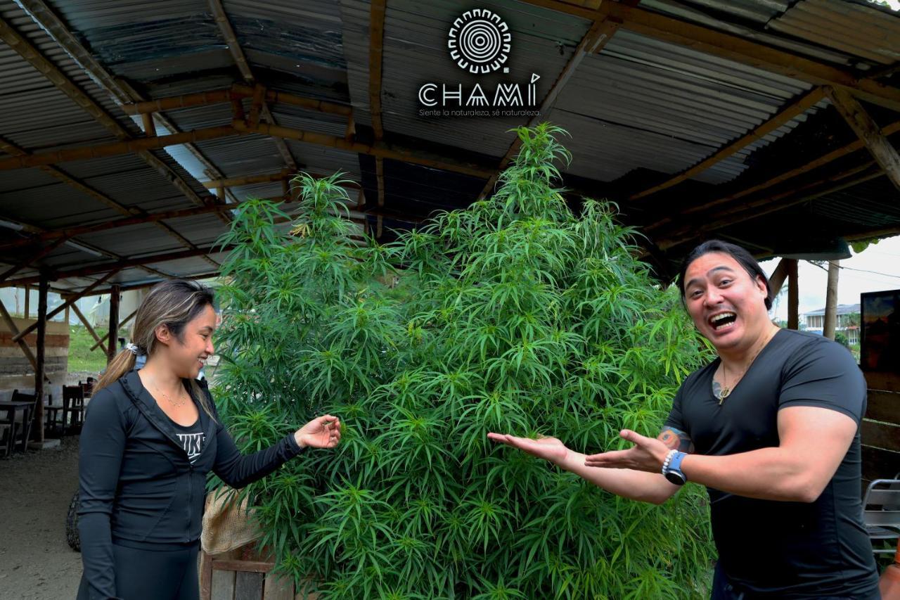 Chami Glamping Villa Manizales Luaran gambar