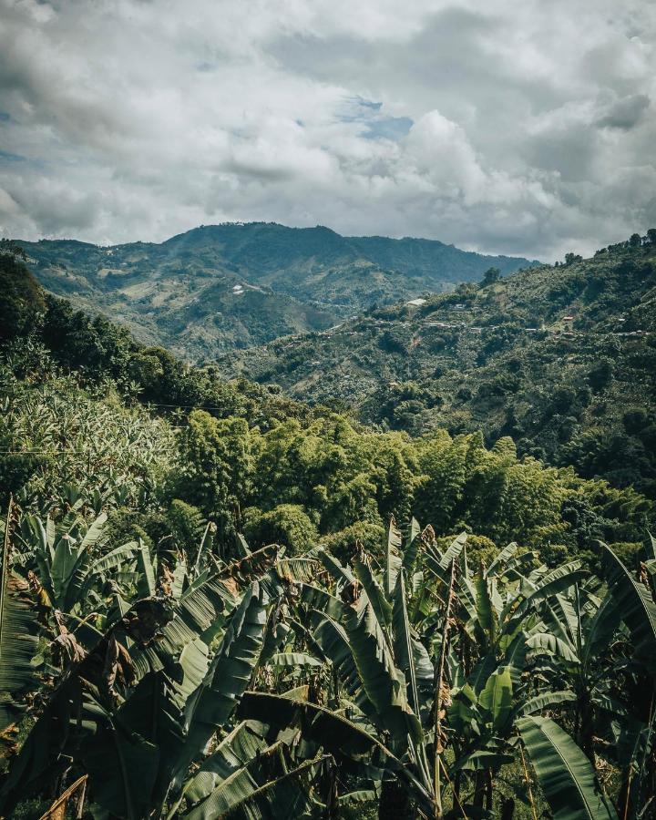 Chami Glamping Villa Manizales Luaran gambar
