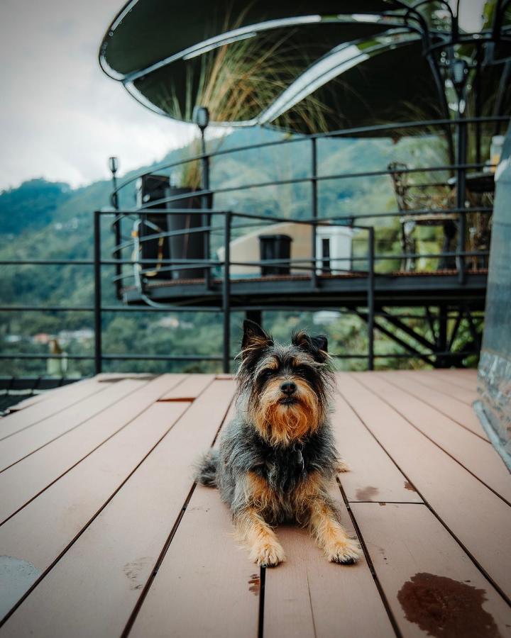 Chami Glamping Villa Manizales Luaran gambar