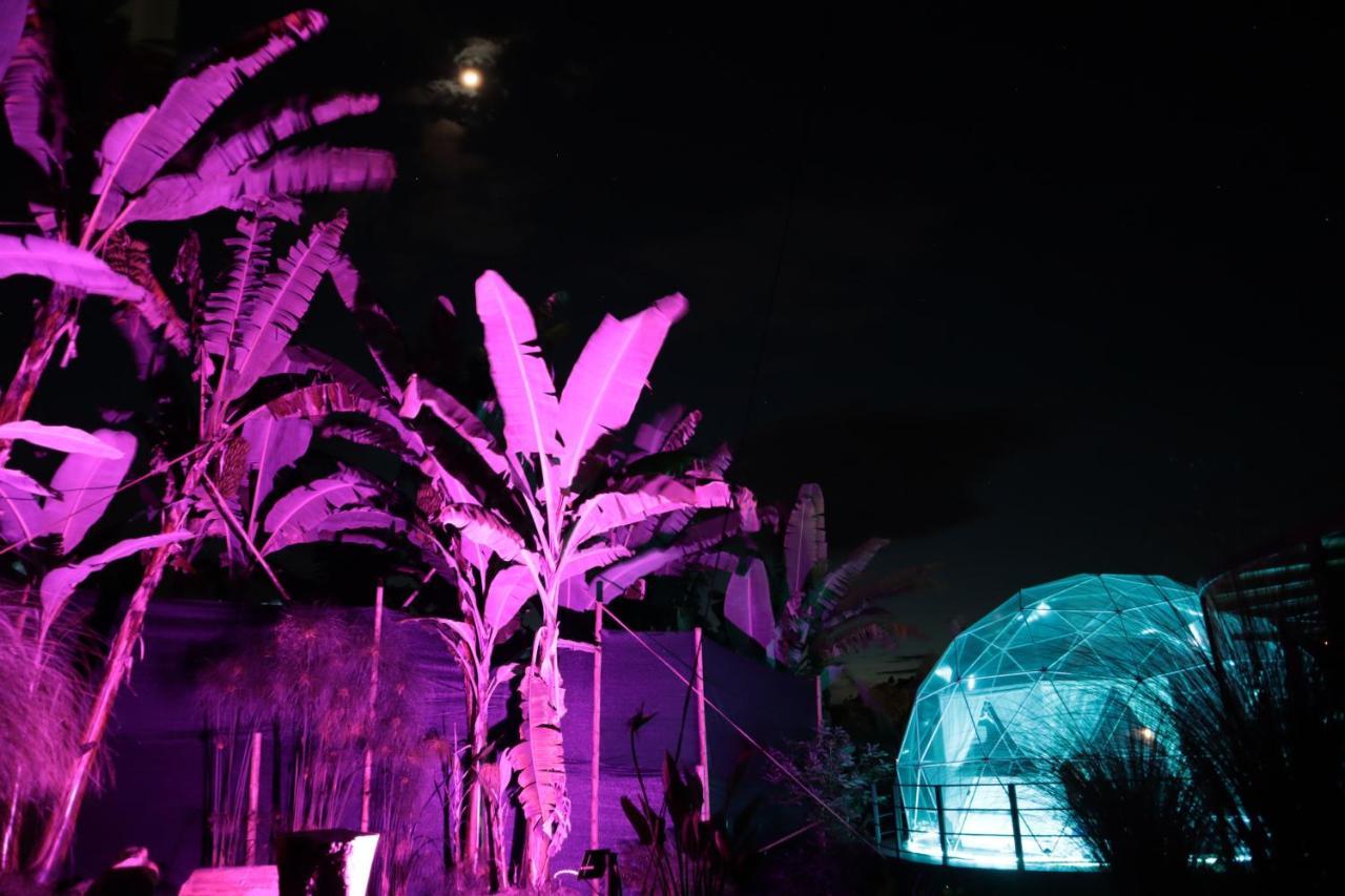 Chami Glamping Villa Manizales Luaran gambar