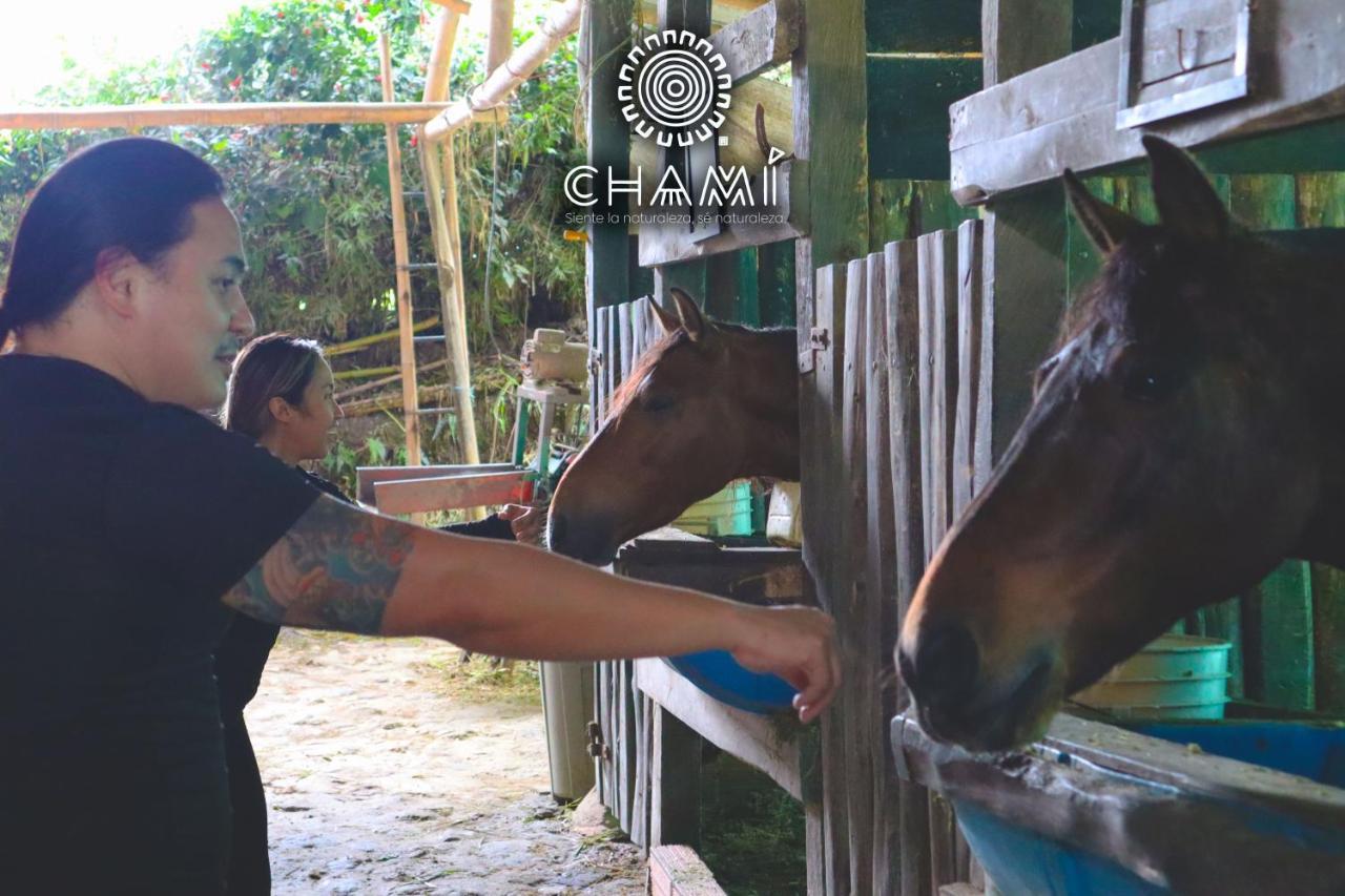 Chami Glamping Villa Manizales Luaran gambar