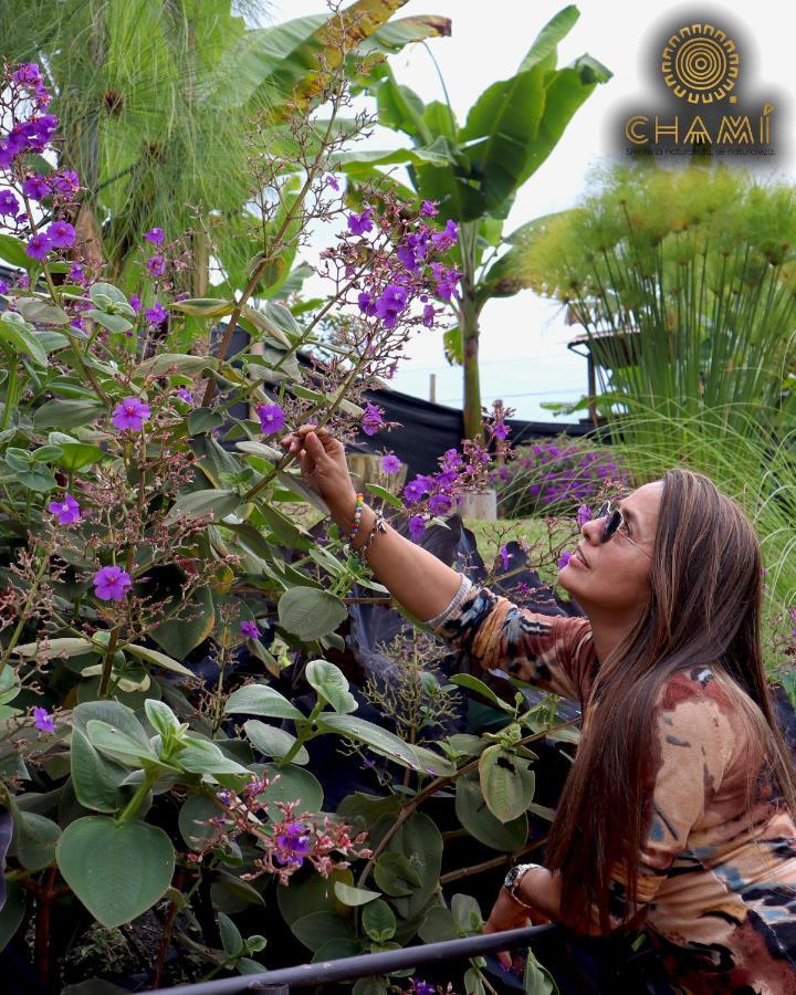 Chami Glamping Villa Manizales Luaran gambar